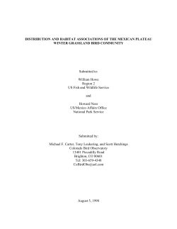 1998 Wintering Grassland Birds in Mexico (Final Report)