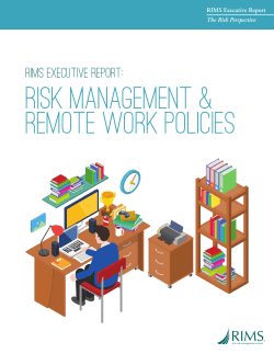 Risk Management and Remote Work Policies