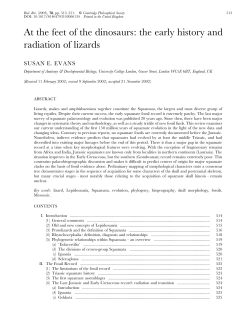 At the feet of the dinosaurs: the early history and radiation of lizards