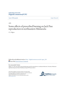 Some effects of prescribed burning on Jack Pine reproduction in