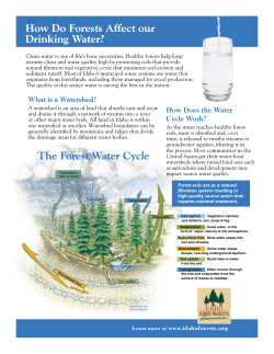 How Do Forests Affect our Drinking Water? The Forest Water Cycle