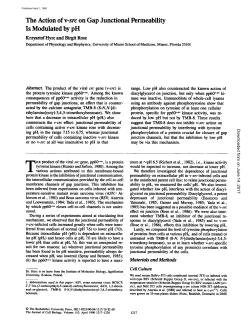 The Action of v-src on Gap Junctional Permeability Is Modulated by pH