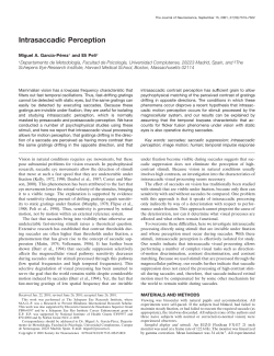 Intrasaccadic Perception