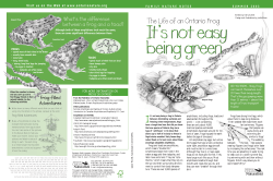 Ontario Frog - ON Nature magazine
