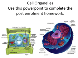 Cell Organelles Use this powerpoint to complete the post enrolment
