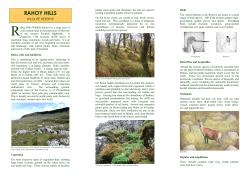 Reserve leaflet - Scottish Wildlife Trust