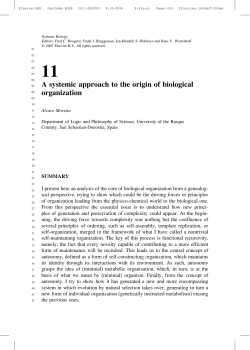 A systemic approach to the origin of biological organization