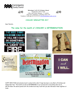 Newsletter January 2017