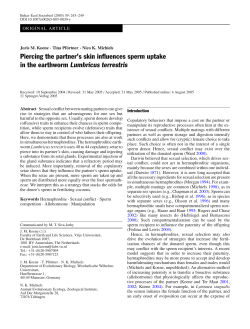 Piercing the partner`s skin influences sperm uptake in the earthworm