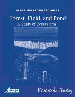 Forest, Field, And Pond