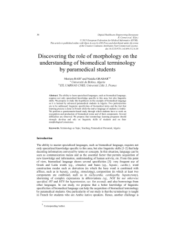 Discovering the role of morphology on the understanding of