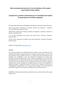 Skills and professional practices for the consolidation of the support