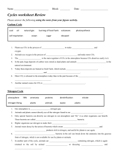 Cycles ReviewWorksheet