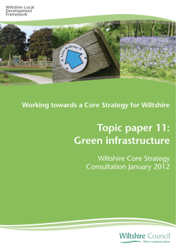 Topic Paper 11 - Green Infrastructure
