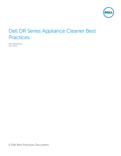 Dell DR Series System Cleaner Best Practices