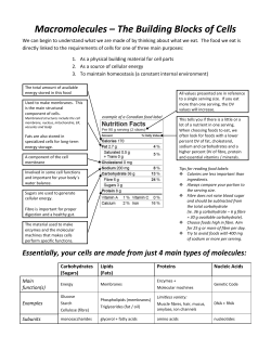 Intro to Macromolecules