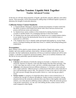 Surface Tension: Liquids Stick Together