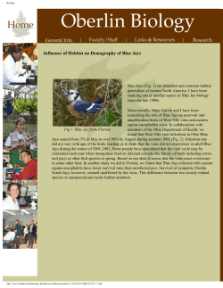 Influence of Habitat on Demography of Blue Jays