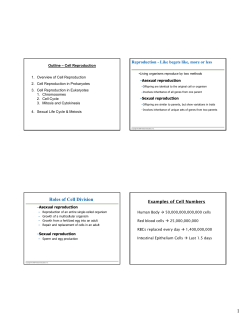 Roles of Cell Division
