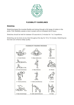 FLEXIBILITY GUIDELINES