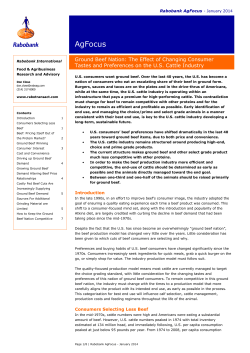 Ground Beef Nation - University of Illinois Extension