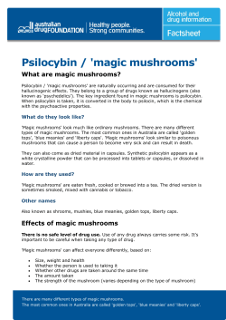 Psilocybin / `magic mushrooms`