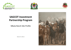 SAGCOT Investment Partnership Program