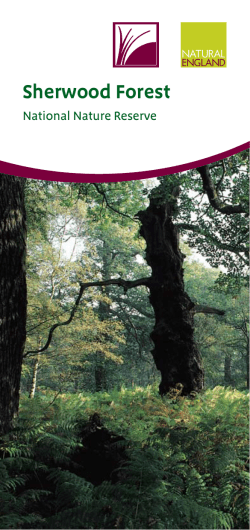 Sherwood Forest - Natural England publications