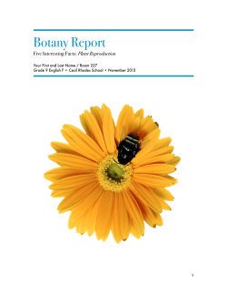 Non-Fiction Book Report Resource
