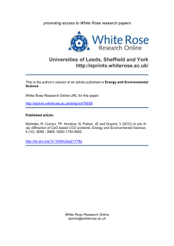 1 MB - White Rose Research Online
