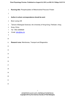 Phosphorylation and Dephosphorylation of the Presequence of