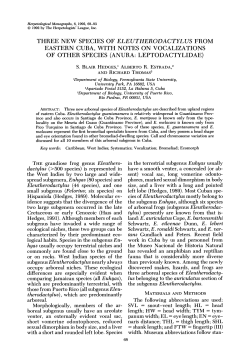 three new species of eleutherodactylus from eastern cuba, with