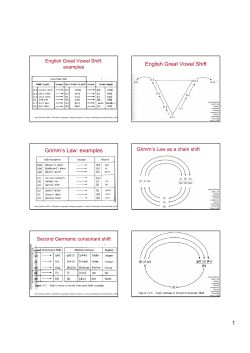 English Great Vowel Shift Grimm`s Law: examples