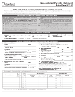 Noncustodial Parent`s Statement