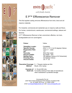 EP Efflorescence Remover