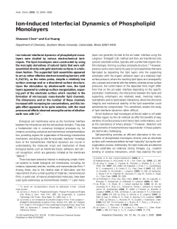 Ion-Induced Interfacial Dynamics of Phospholipid Monolayers