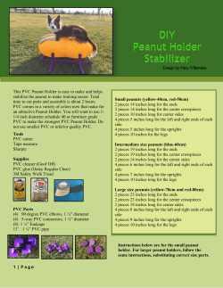 1 | Page This PVC Peanut Holder is easy to make and helps