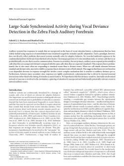 Large-Scale Synchronized Activity during Vocal Deviance Detection