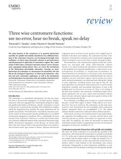 Three wise centromere functions: see no error, hear no break, speak