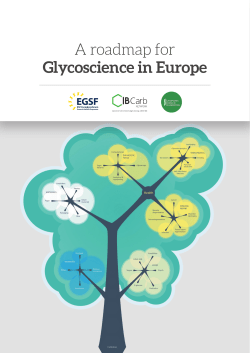 A roadmap for Glycoscience in Europe