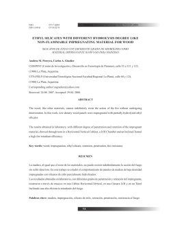 ethyl silicates with different hydrolysis degree like non