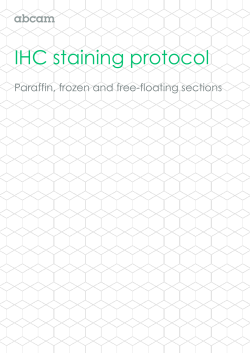 IHC staining protocol