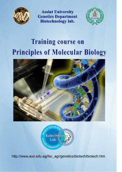 Table of contents - Assiut University