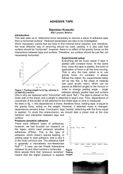 ADHESIVE TAPE Stanislav Krasulin