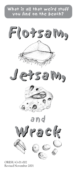 Flotsam, Jetsam, and Wrack