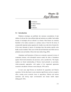 11_chapter 5