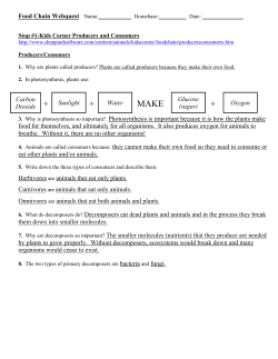 Stop #1-Kids Corner Producers and Consumers