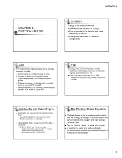 CHAPTER 8 - PHOTOSYNTHESIS ENERGY ATP ATP Autotrophs