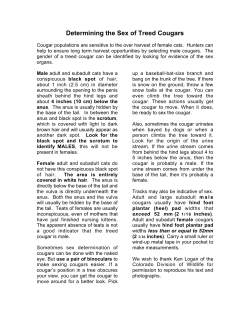 Determining the Sex of Treed Cougars