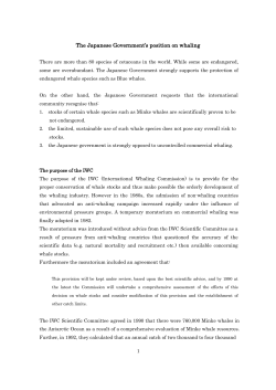 The Japanese Government`s position on whaling